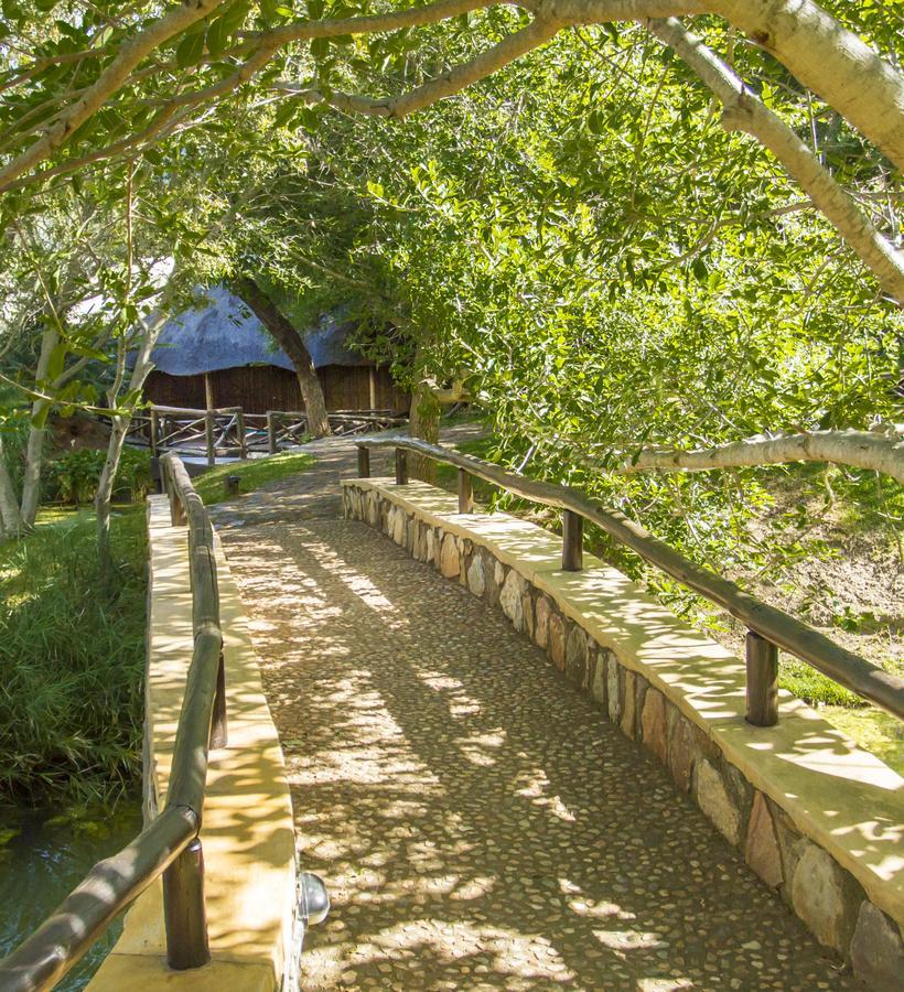 Little Bush Lodge Hoedspruit Exterior foto