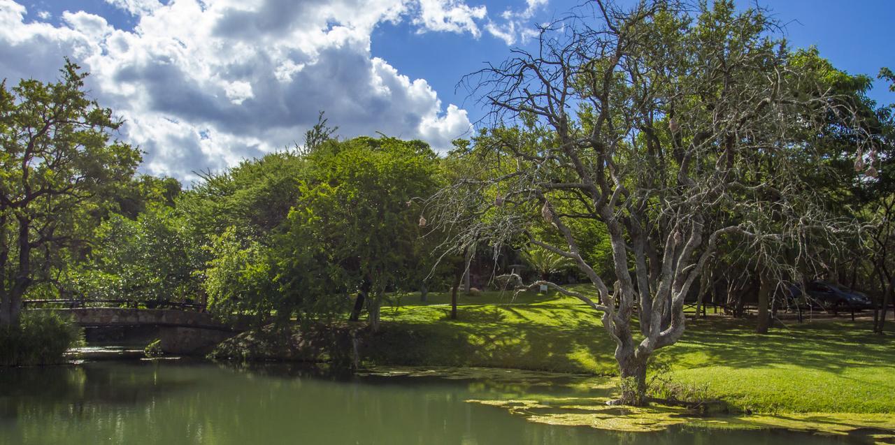 Little Bush Lodge Hoedspruit Exterior foto