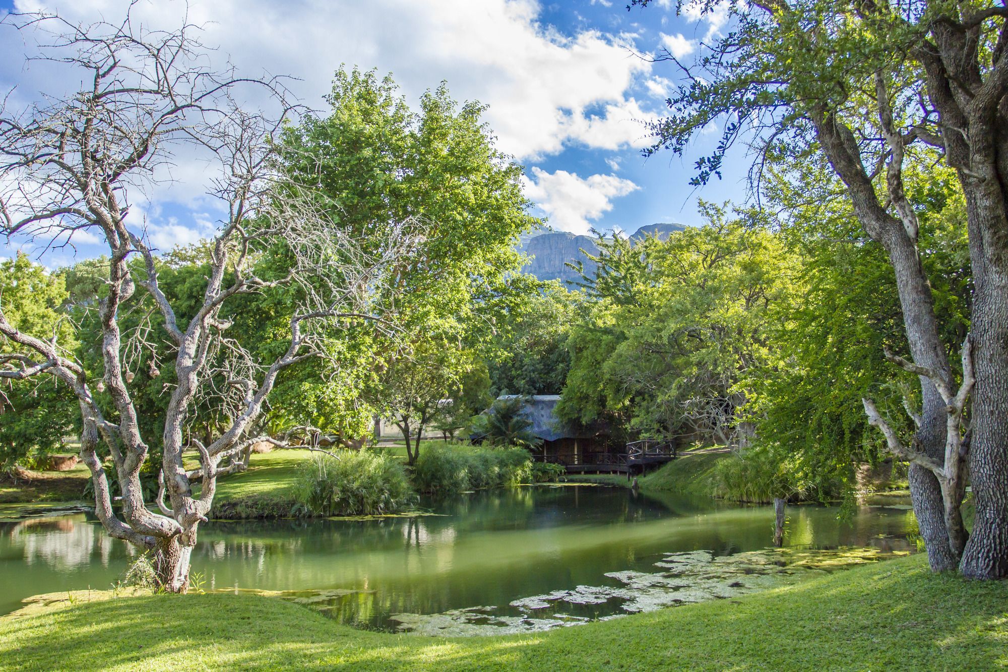 Little Bush Lodge Hoedspruit Exterior foto